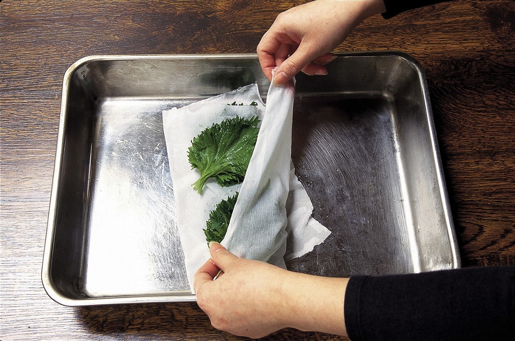 SN-3 レパレシート